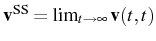 $ \mathbf{v}^\mathrm{SS}=\lim_{t\rightarrow\infty}
\mathbf{v}(t,t)$