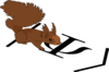 Squirrel-2014.png