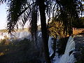 Iguazu ar20.jpg