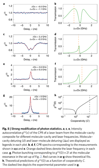 Wang19a-g2-single-molecule.png