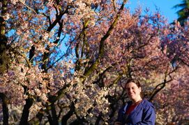 Blossoming trees in the park La Quinta de los Molinos.