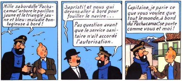 Tintin-complotiste.jpg