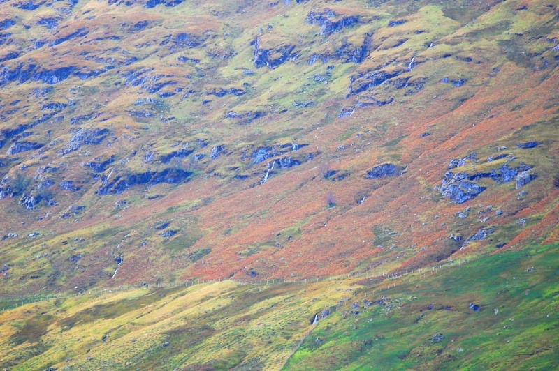 File:Trossachs-30-Sept-2012-11.jpg