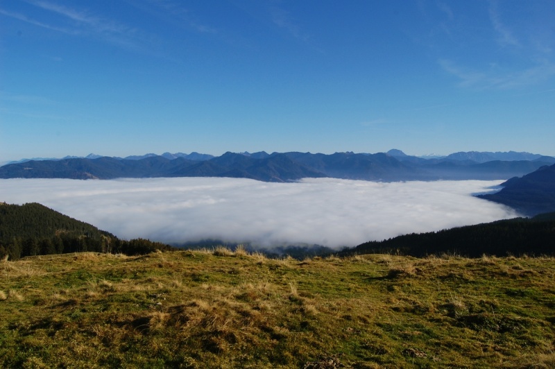 File:Blomberg-13-11-11-6.jpg