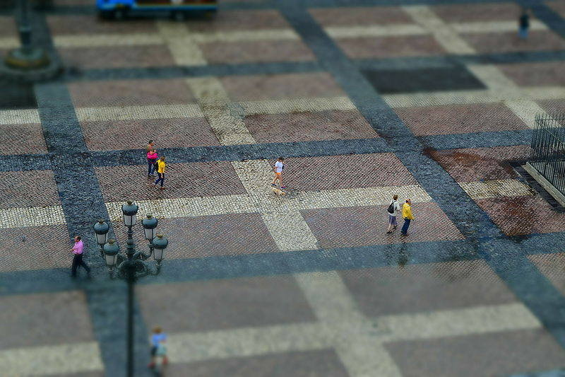 File:AfterTheRain-17Sep2014-3.jpg