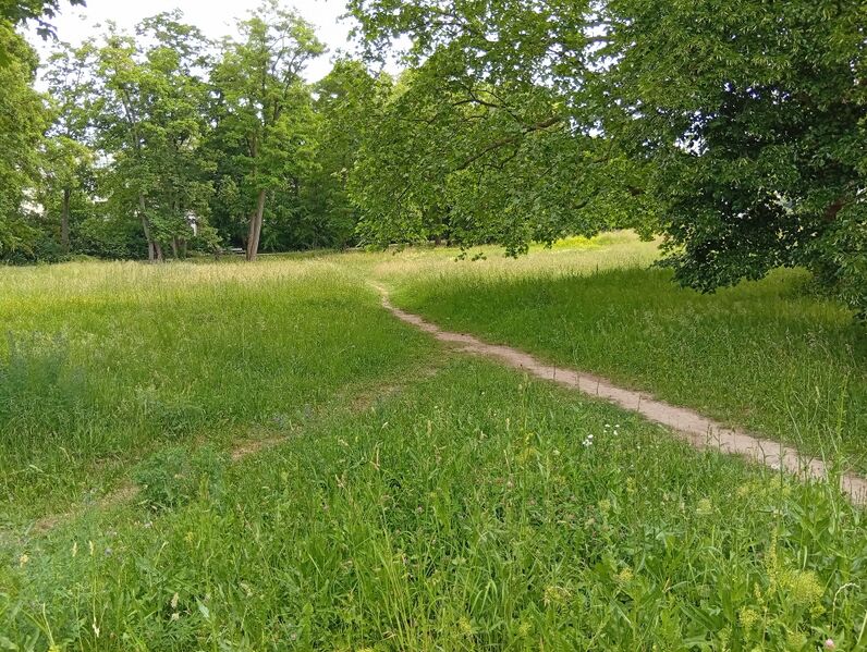 File:Microblog-20260606-120756-1000008752.jpg