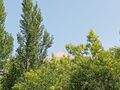 Thumbnail for version as of 10:55, 29 July 2026