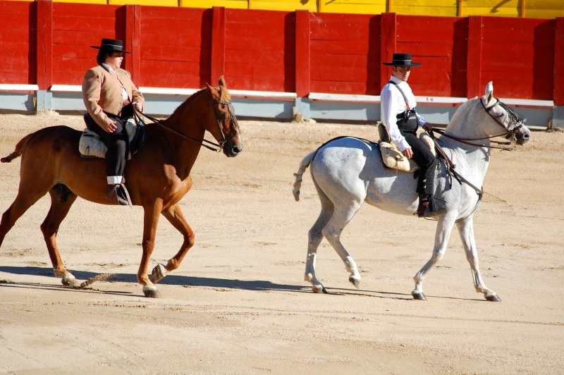File:Chinchon-2012-September-8.jpg