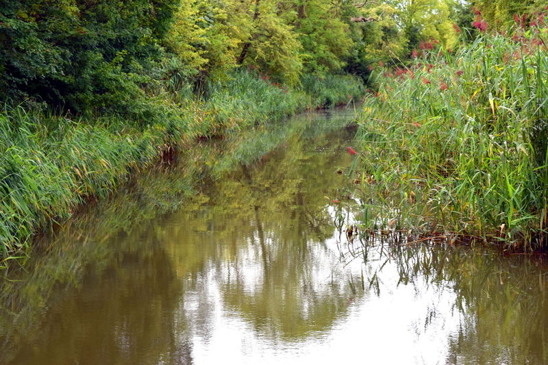 File:Back-to-Severn-Aug17-12.jpg