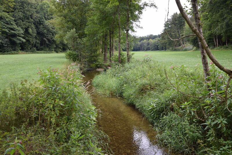 File:AroundIsen-31July2022-1.jpg