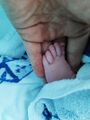 Thumbnail for version as of 22:56, 26 October 2026