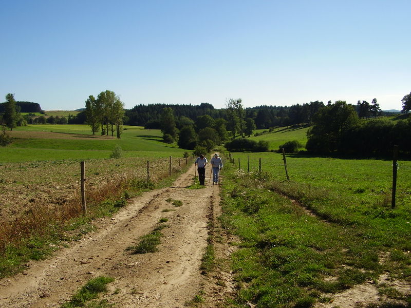 File:FabricePapa-4Sept2006.jpg