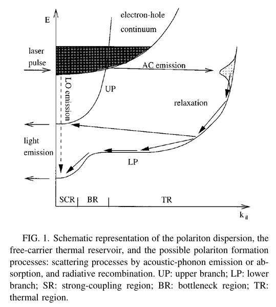 File:Screenshot 20250817 172904.png