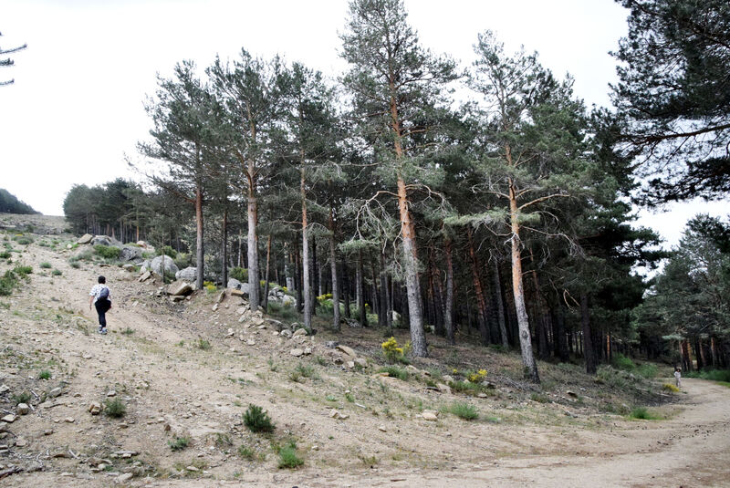 File:CabezaBranaCanencia-May22-8.jpg