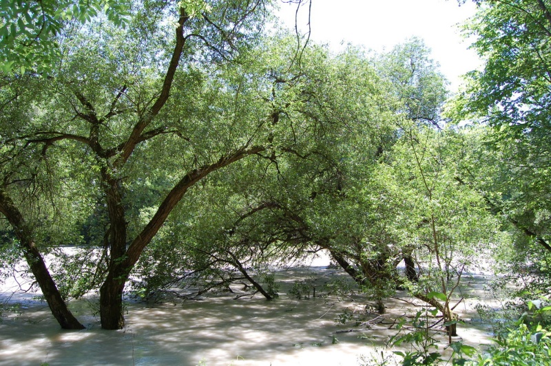 File:Isar-2011-1.jpg