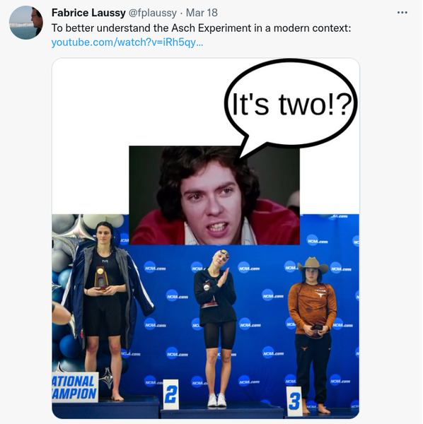 File:Screenshot 20221031 213022.png