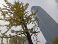 Thumbnail for version as of 02:20, 15 October 2026