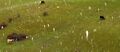 Thumbnail for version as of 23:25, 26 October 2026